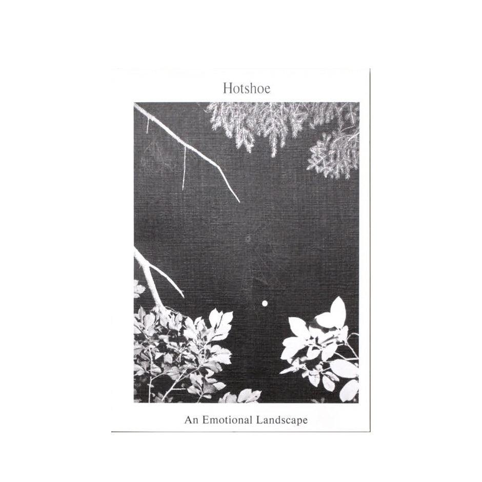 Hotshoe, Issue 209: An Emotional Landscape