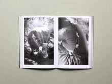 Hotshoe, Issue 209: An Emotional Landscape