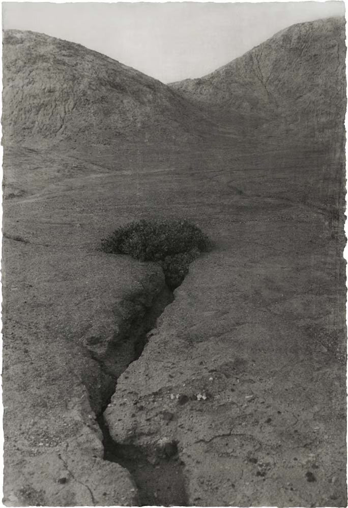Desert - signed