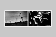 In the Flap of a Bird’s Wing, Water Dries Up