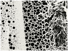 Untitled #9 SP Edition