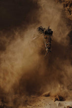 The Crick first edition