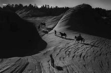 The Crick first edition