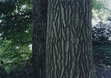 4100 DUISBURG - signed copy