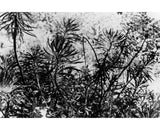 A Short Story - signed copy