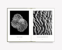 What Darwin Missed, Teil III