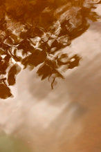 Pang’Ono Pang’Ono - signed