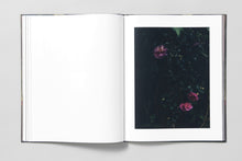 Blackwater River - Artist Edition