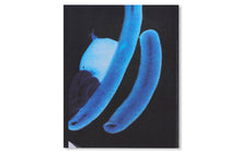 100 Bilder - signed copy