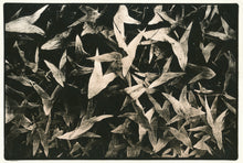 Scratchy Days - signed