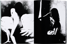 Taratine signed copy