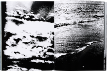 Taratine signed copy