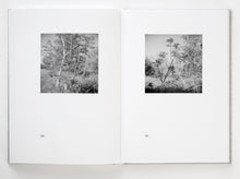 Meloni Meloni - special edition