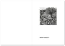 Spanish Summer - signed copy