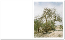 Speak the Wind - signed