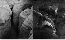 Speak the Wind - signed