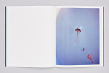 THE FIRST DAY OF GOOD WEATHER - signed