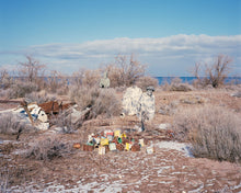 Suicidal Birds - signed copy