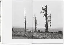 Day Sleeper (First Edition, Second Printing)