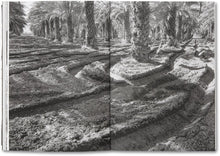 Day Sleeper (First Edition, Second Printing)