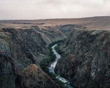 Suicidal Birds - signed copy