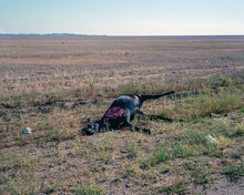 Suicidal Birds - signed copy