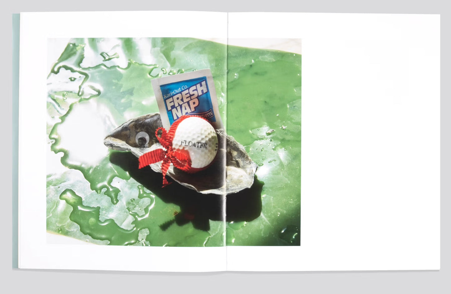 Shells [Signed]