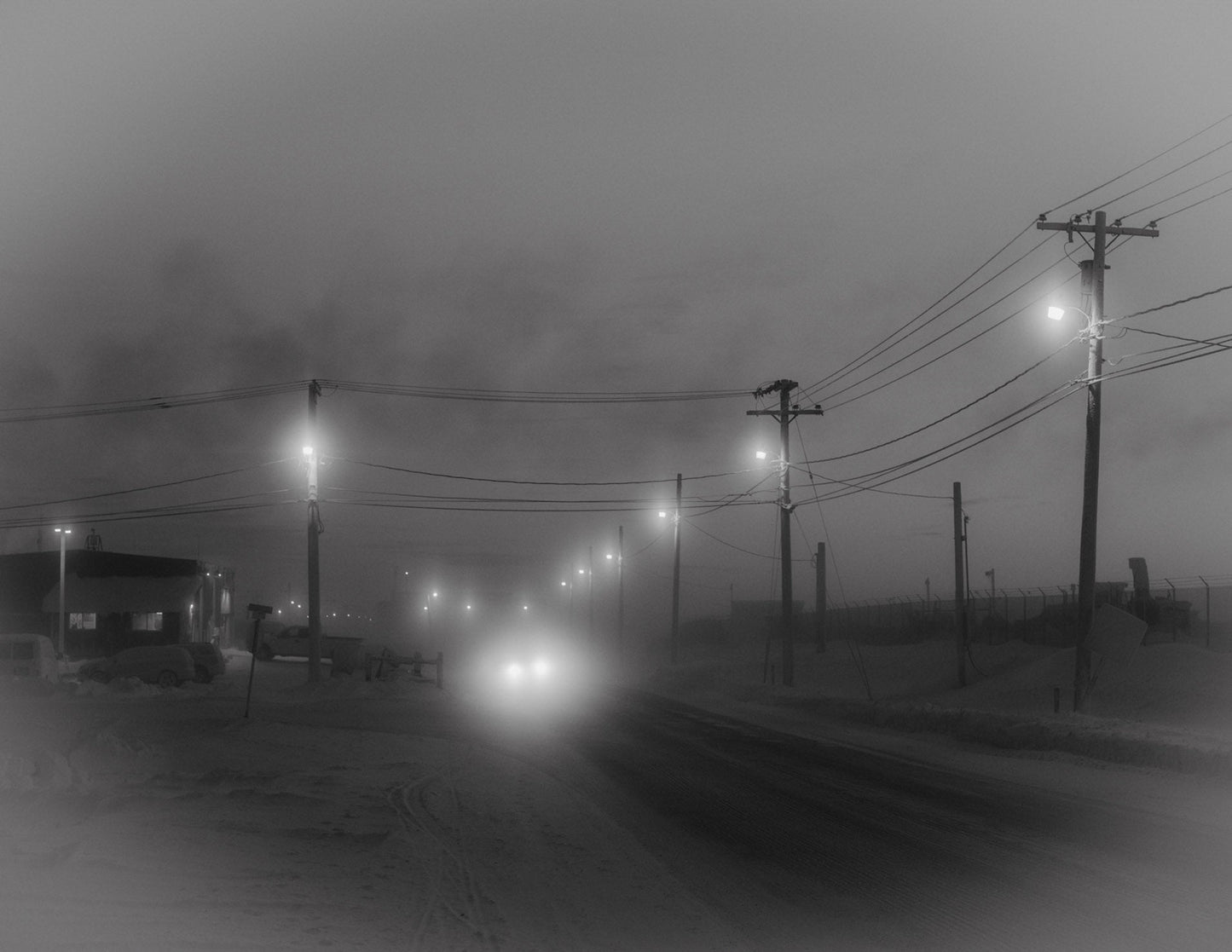 Polar Night [Signed]