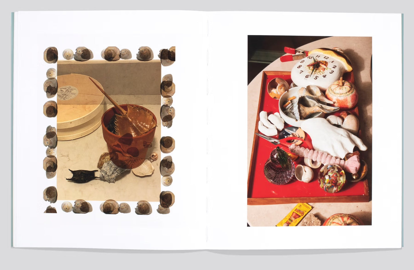 Shells [Signed]