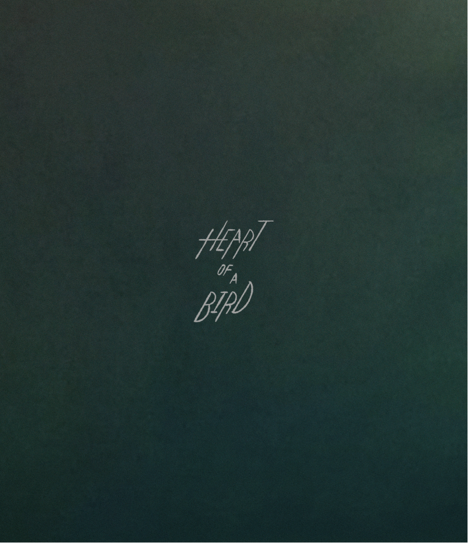 Heart of a Bird