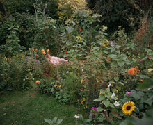 The Garden