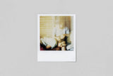 The Polaroid Kidd