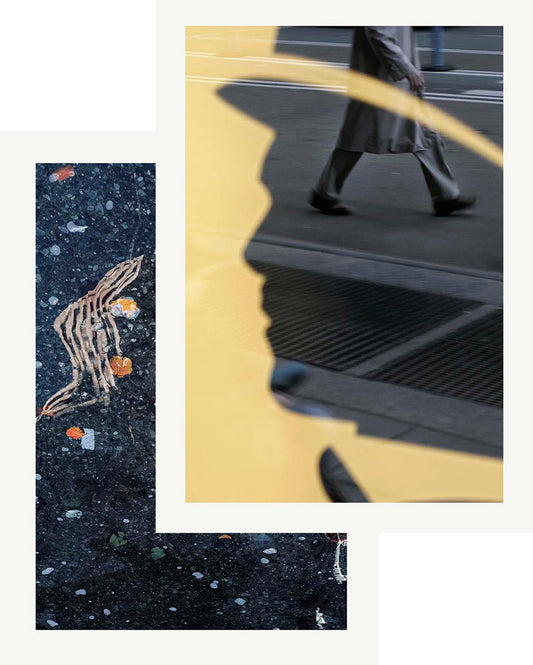 Metropolitan Melancholia Special Edition