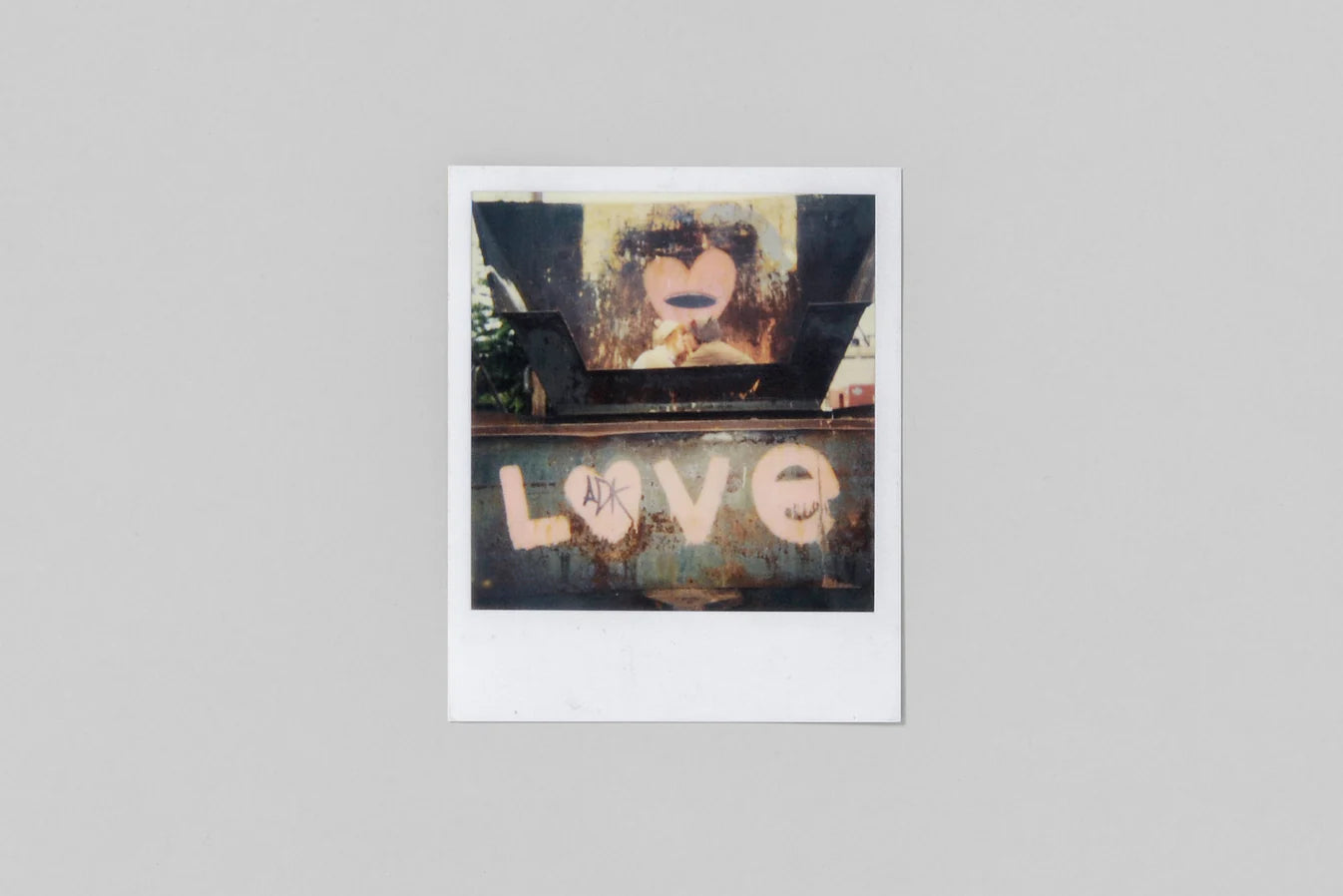 The Polaroid Kidd