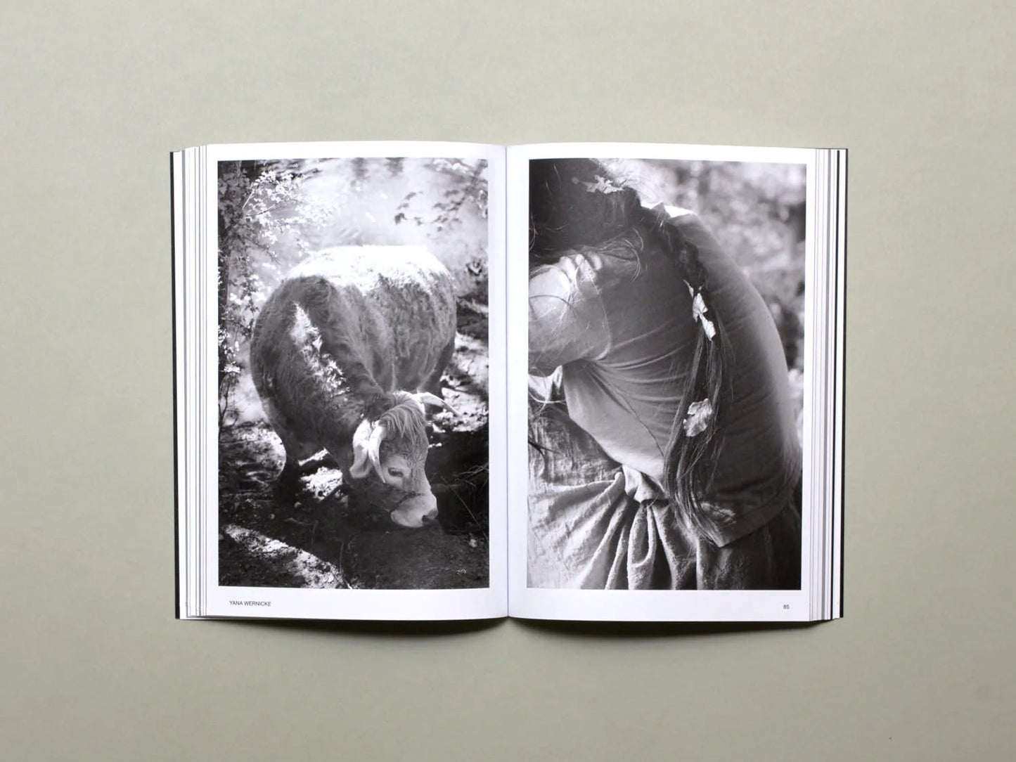 Hotshoe, Issue 209: An Emotional Landscape