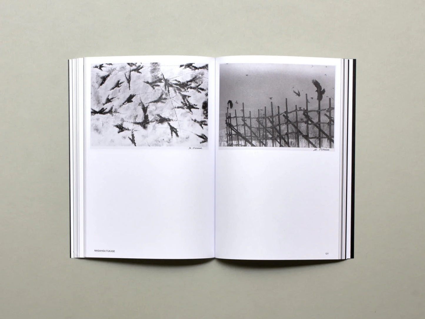 Hotshoe, Issue 209: An Emotional Landscape