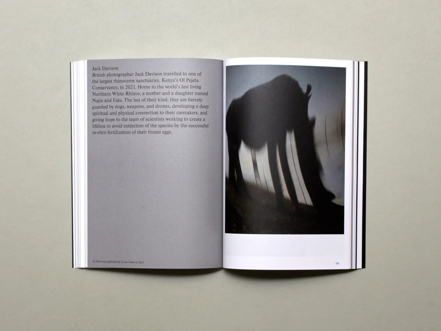 Hotshoe, Issue 209: An Emotional Landscape