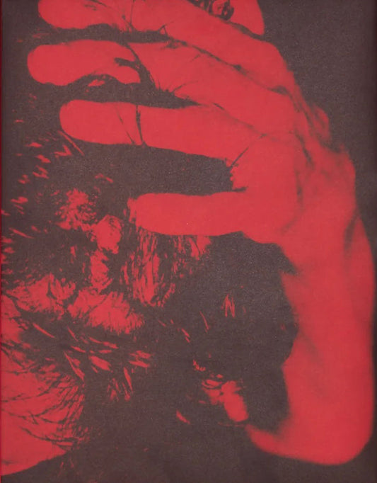 Flashpoint! Protest Photography in Print, 1950-Present