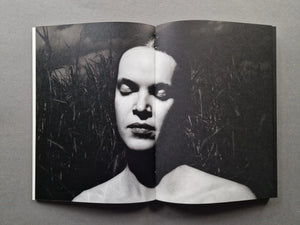 Ursa Major - signed