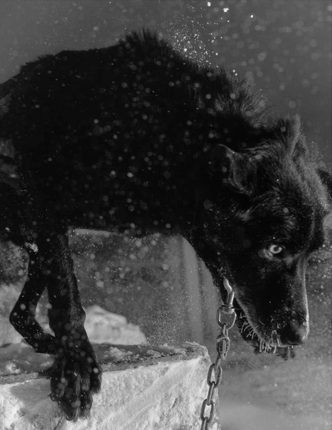 Polar Night - Imperfect copy