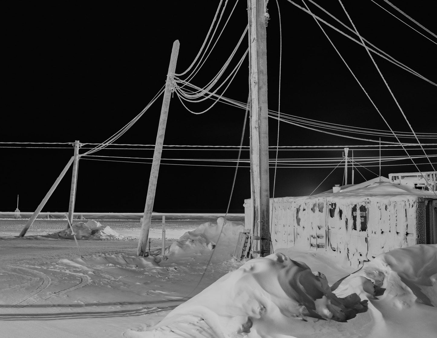 Polar Night [Signed]