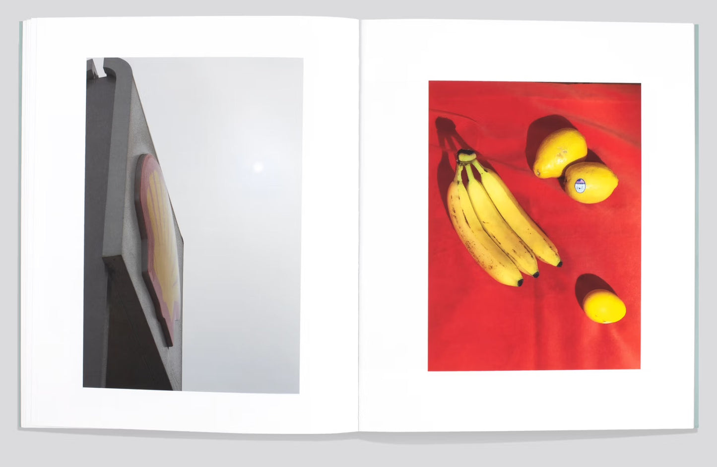 Shells [Signed]