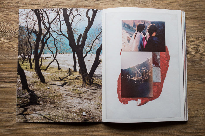 Vincent Delbrouck: The Himalayan Project-Part III-Dzogchen [Signed]