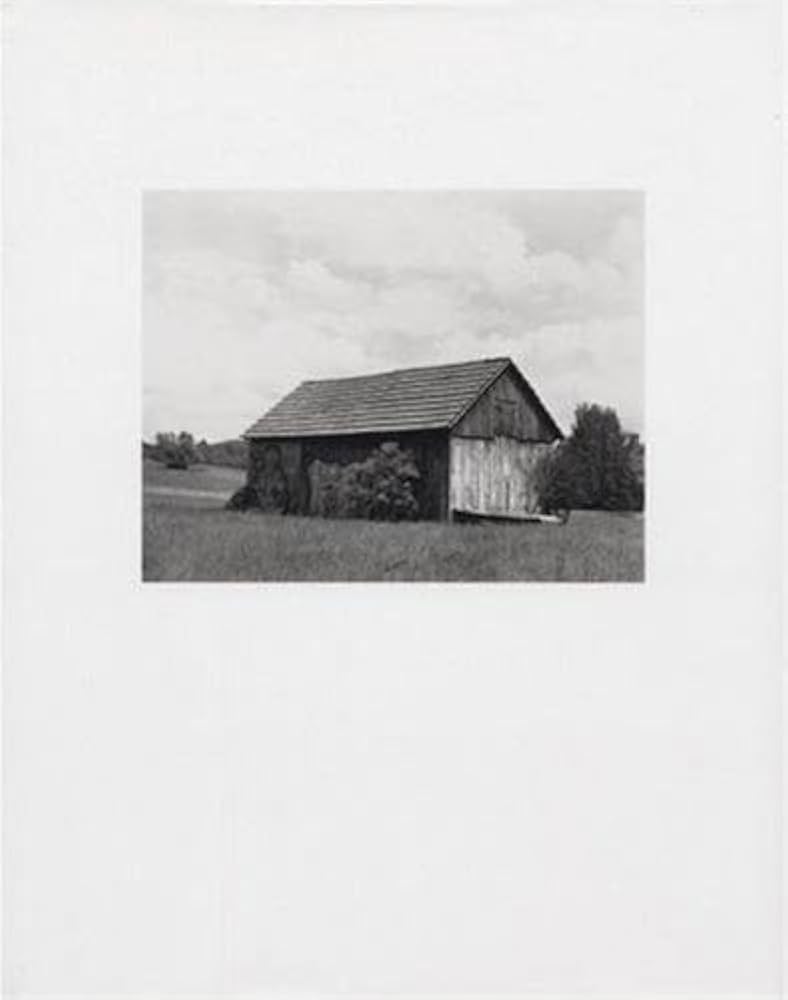 Neighbors / Nachbarn