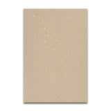 Ursa Major - signed