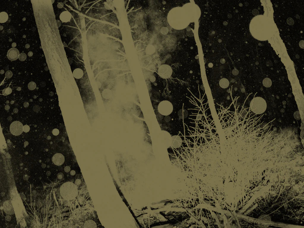 4 a.m. [Signed]