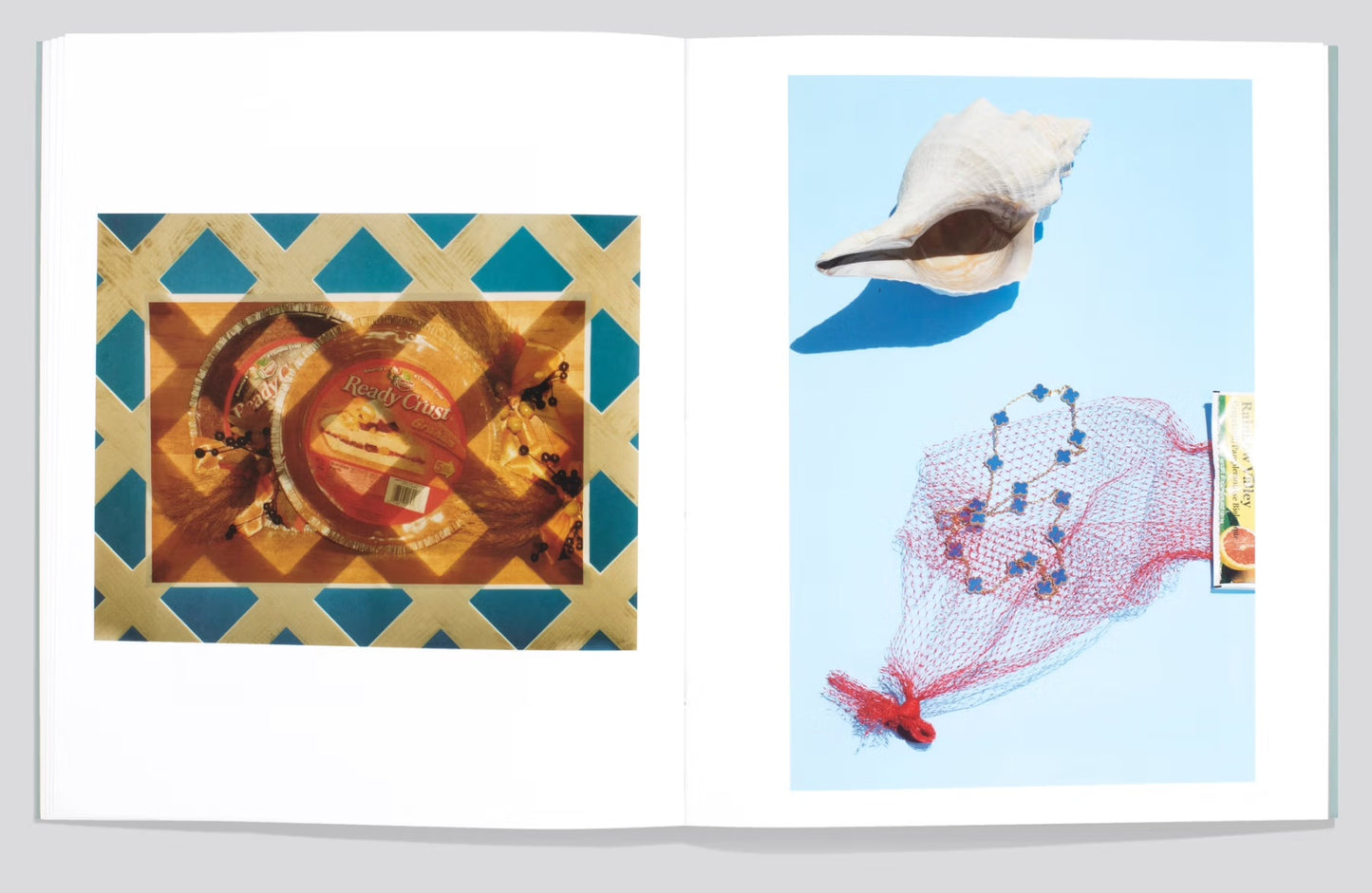 Shells [Signed]