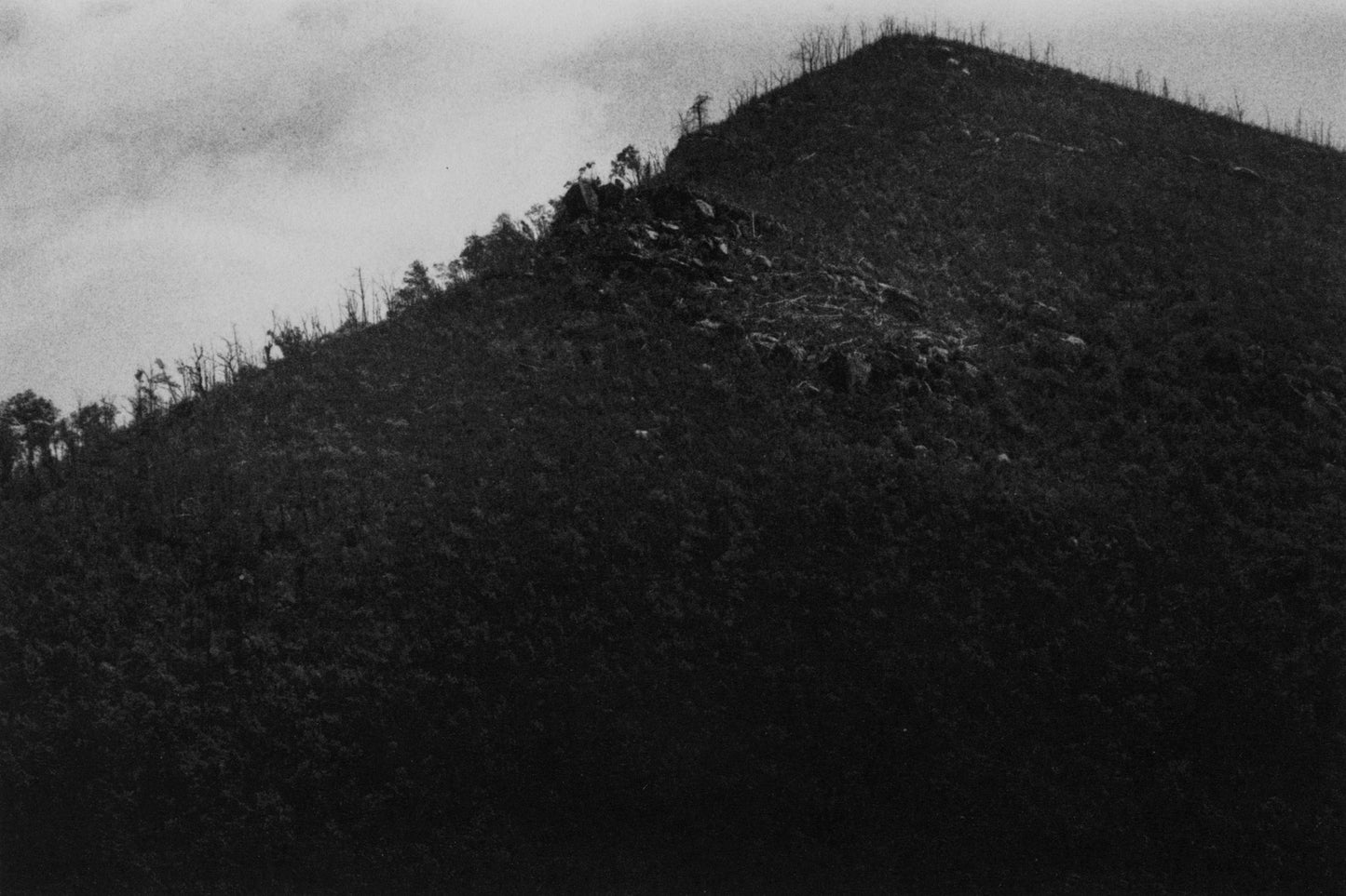 Valleys [Signed]
