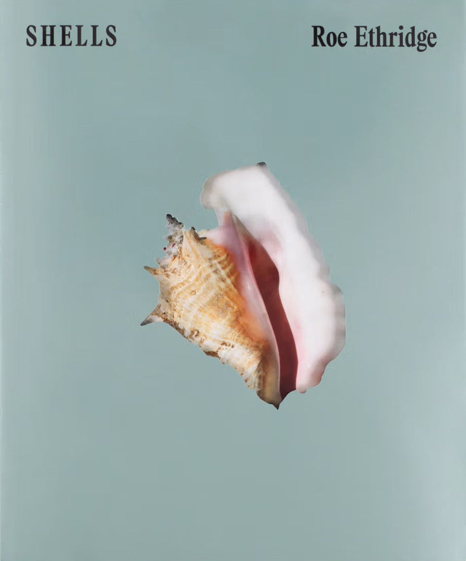 Shells [Signed]