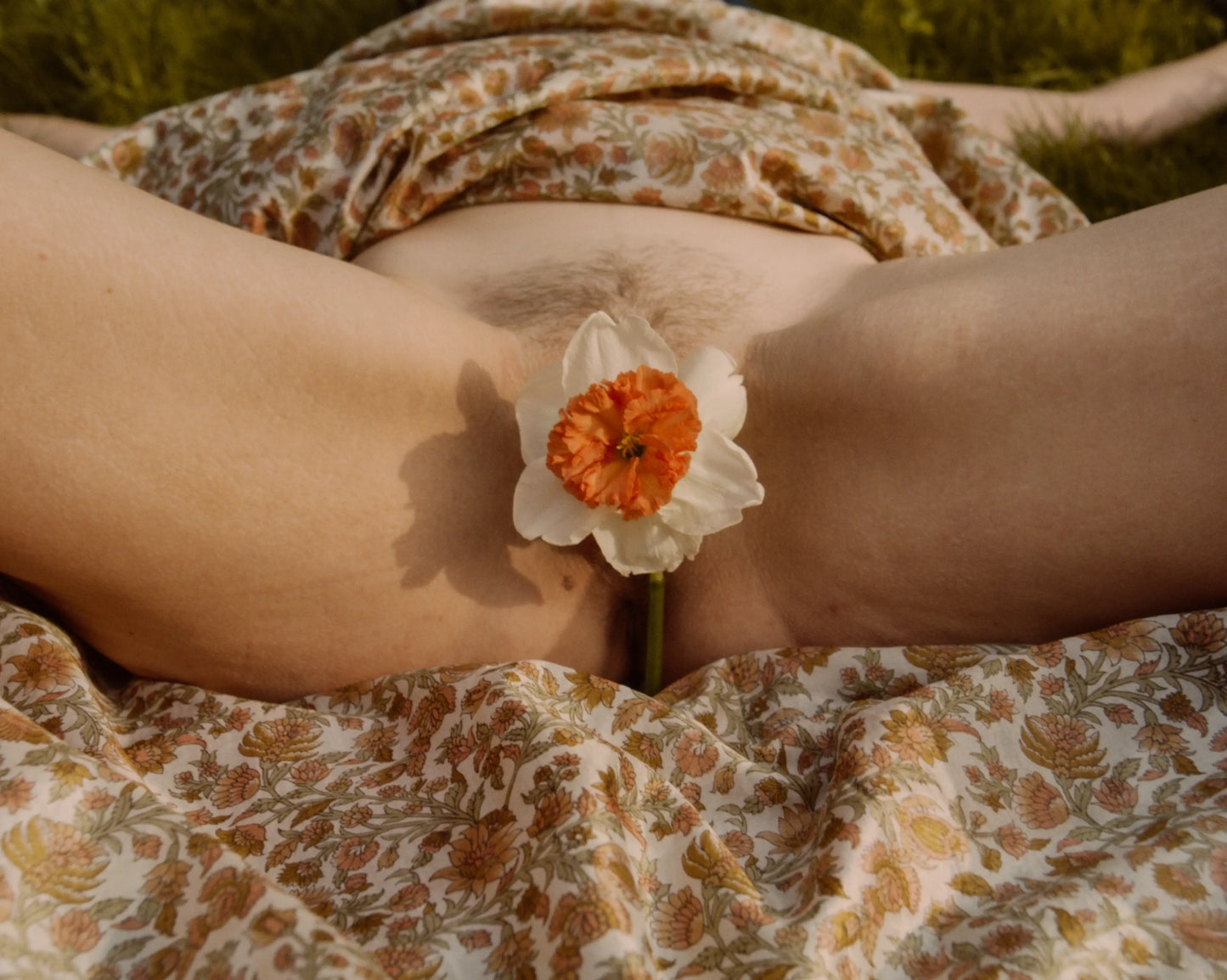 PETAL [Signed]